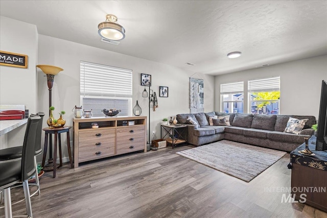 941 S Wavetrain Ave, Boise, ID 83709 - living area featuring wood finished floors