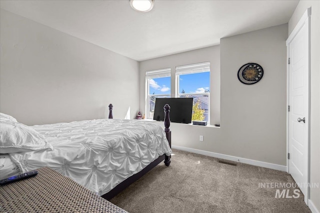 941 S Wavetrain Ave, Boise, ID 83709 - carpeted bedroom with baseboards