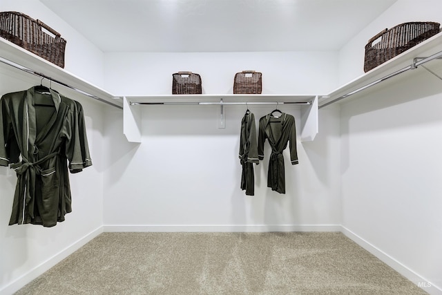 walk in closet featuring carpet floors