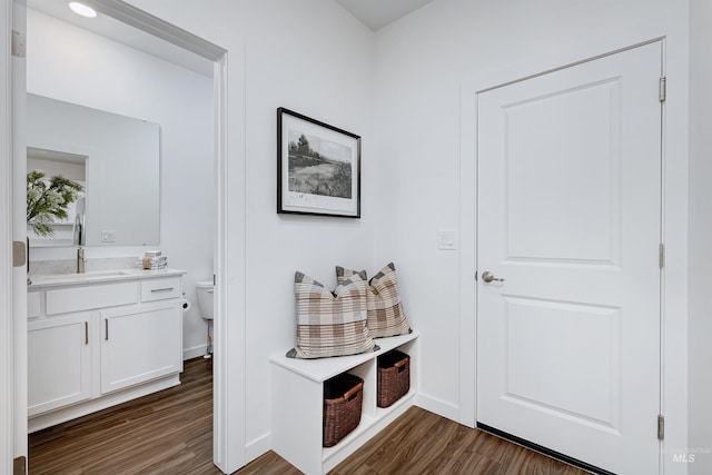 mudroom with sink and dark wood-type flooring