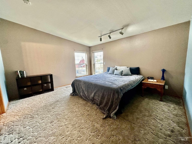 1089 Wallen Rd, Moscow, ID 83843 - bedroom with carpet floors, lofted ceiling, and track lighting
