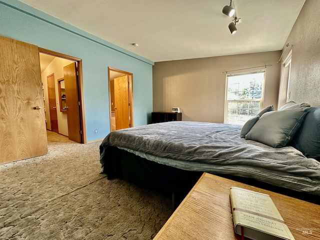 1089 Wallen Rd, Moscow, ID 83843 - carpeted bedroom with track lighting