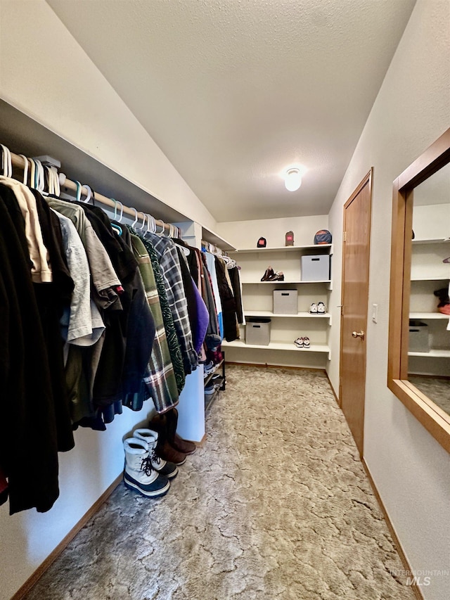 1089 Wallen Rd, Moscow, ID 83843 - walk in closet with carpet