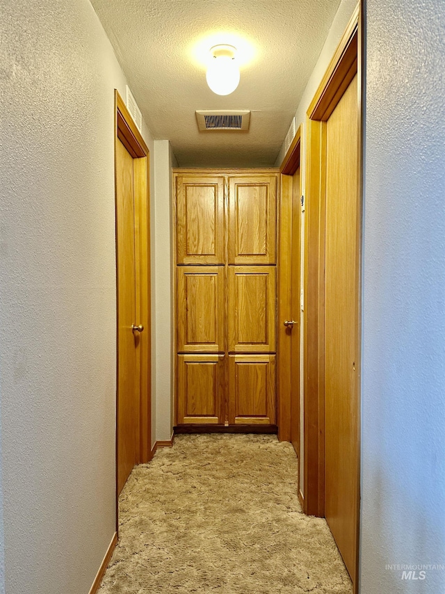 1089 Wallen Rd, Moscow, ID 83843 - corridor with light colored carpet, a textured wall, and a textured ceiling