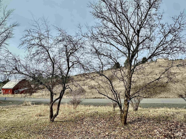 1089 Wallen Rd, Moscow, ID 83843 - view of yard