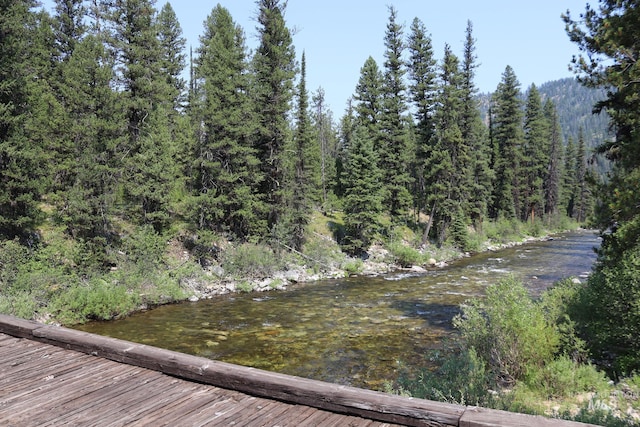 view of local wilderness with a water view