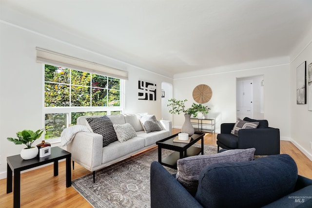 living room with hardwood / wood-style flooring