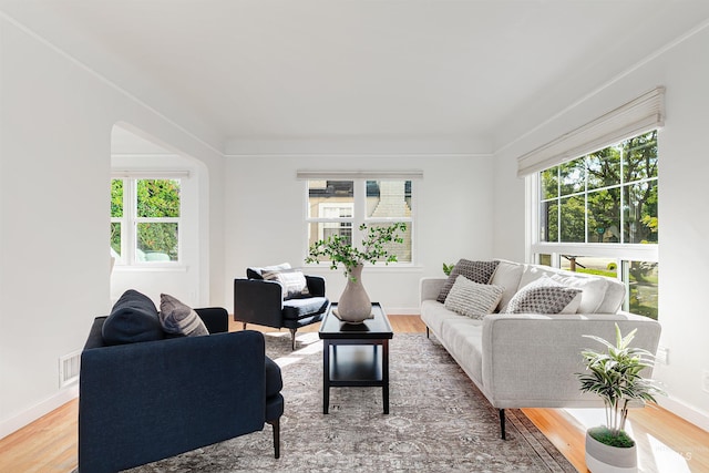 living room with hardwood / wood-style flooring and a wealth of natural light