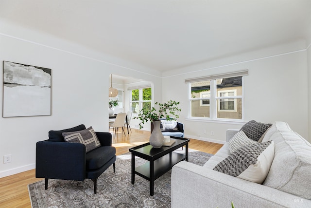 living room featuring hardwood / wood-style floors