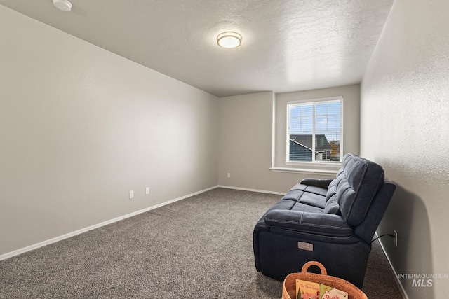 living area featuring a textured ceiling and carpet