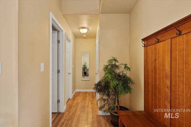 hall with baseboards and light wood finished floors