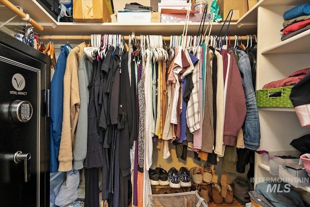 view of walk in closet