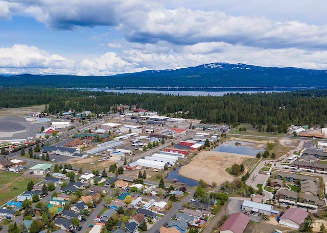 406 Margaret Way, Mccall, ID 83638 - aerial overview of property's location with a forest and a water and mountain view