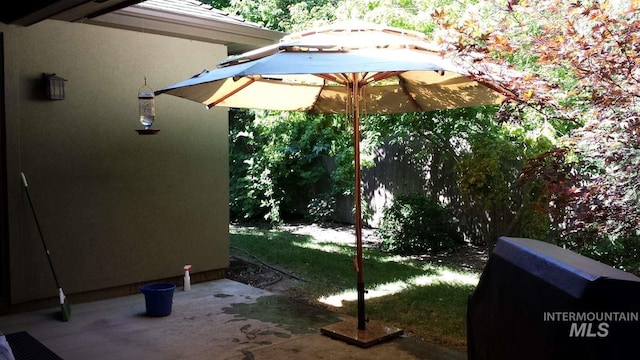 view of yard featuring a patio area