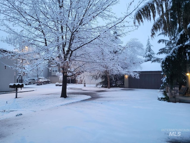 view of yard covered in snow