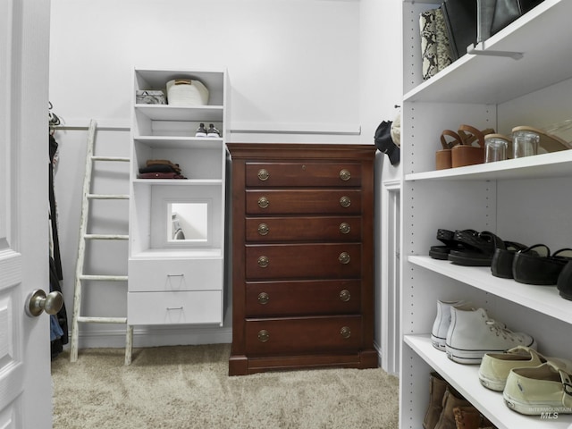 1262 N Forestdale Pl, Eagle, ID 83616 - walk in closet with carpet flooring
