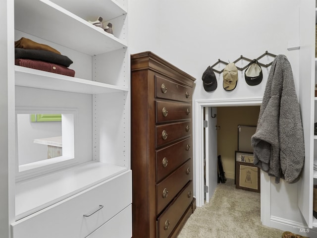 1262 N Forestdale Pl, Eagle, ID 83616 - spacious closet featuring light colored carpet