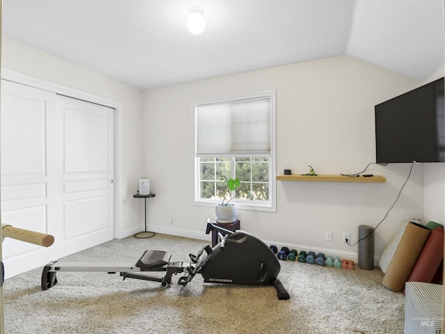 1262 N Forestdale Pl, Eagle, ID 83616 - workout area featuring carpet flooring and vaulted ceiling