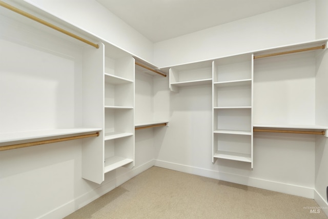 walk in closet featuring light colored carpet