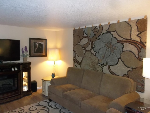 living room with hardwood / wood-style floors and a textured ceiling