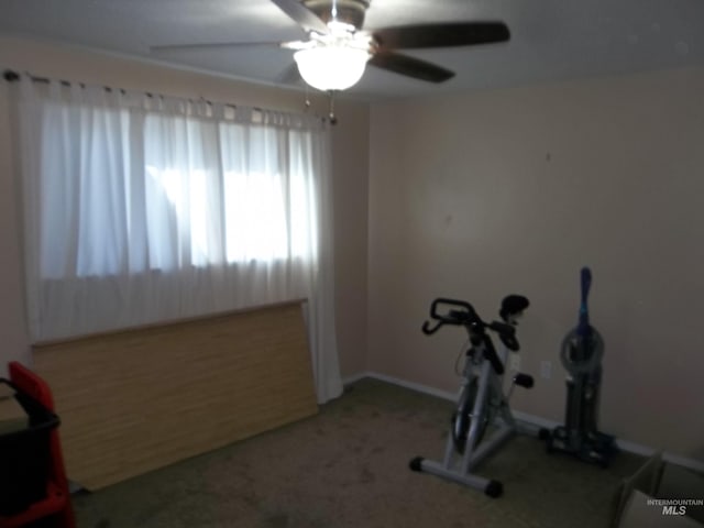 exercise room featuring ceiling fan and carpet flooring