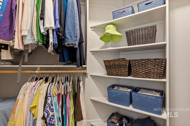 3931 N Park Crossing Ave, Meridian, ID 83646 - view of walk in closet
