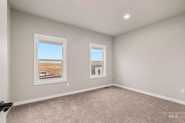 unfurnished room featuring a wealth of natural light and carpet flooring