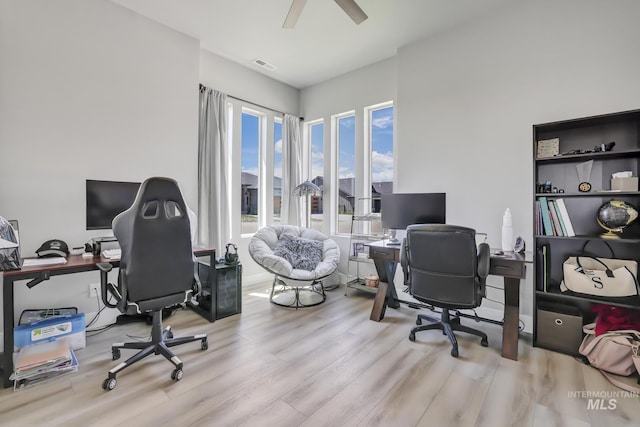 office featuring ceiling fan, visible vents, and light wood-style floors