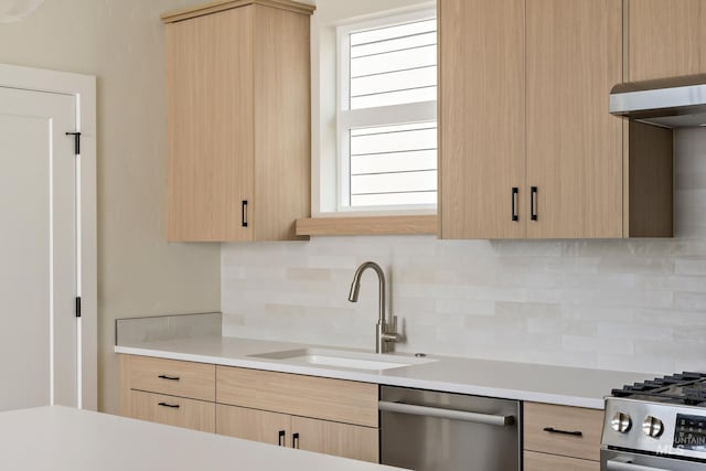 kitchen with light brown cabinets, stainless steel appliances, and a sink