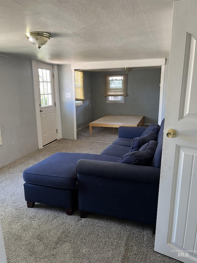 11543 W State St, Star, ID 83669 - carpeted living area with a textured ceiling