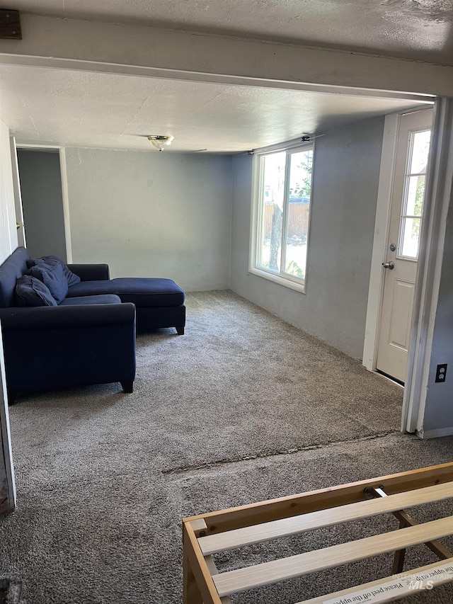 11543 W State St, Star, ID 83669 - living room featuring carpet flooring and plenty of natural light