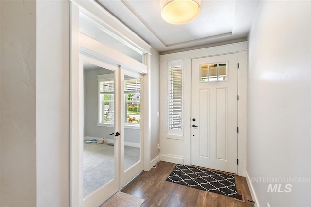 3303 S Island Fox Ave, Eagle, ID 83616 - foyer with healthy amount of natural light, dark wood-style floors, and baseboards