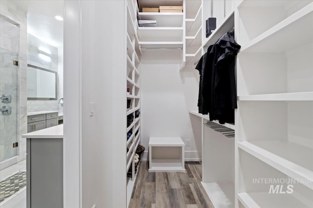 walk in closet with wood-type flooring