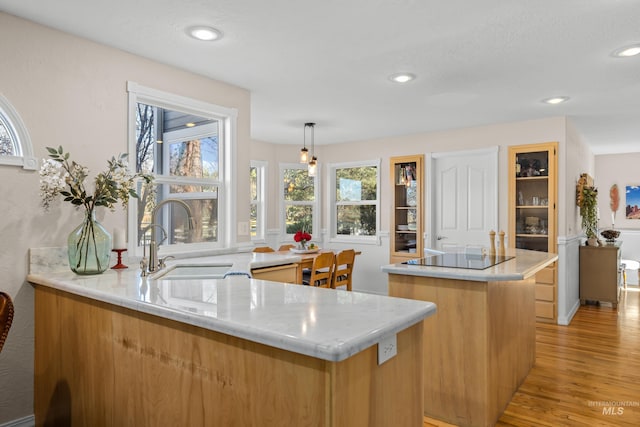 kitchen featuring sink, plenty of natural light, decorative light fixtures, black electric cooktop, and light wood-type flooring