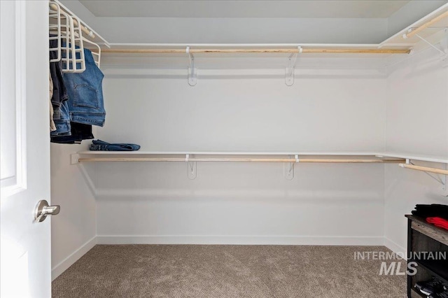 walk in closet with carpet