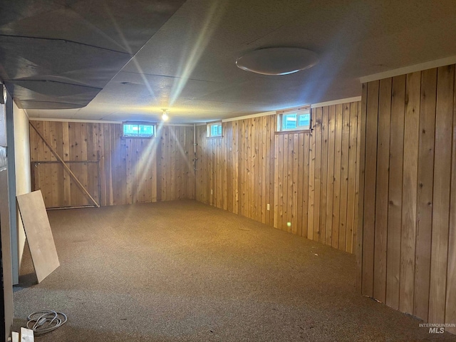 basement featuring carpet and wooden walls