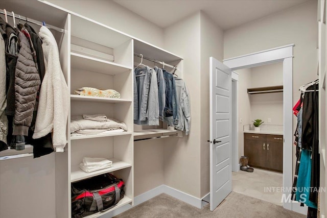 spacious closet with light colored carpet