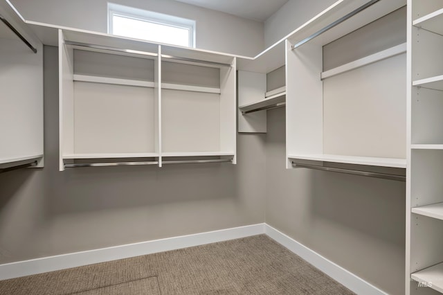 6257 N Vicenza Ln, Meridian, ID 83646 - walk in closet with carpet