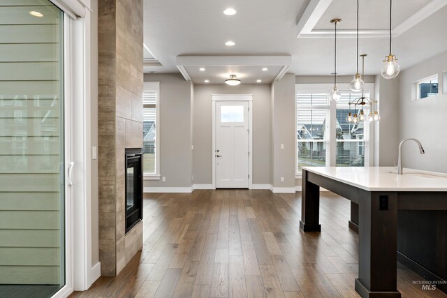 6257 N Vicenza Ln, Meridian, ID 83646 - foyer entrance featuring a fireplace, a wealth of natural light, dark wood-type flooring, and sink
