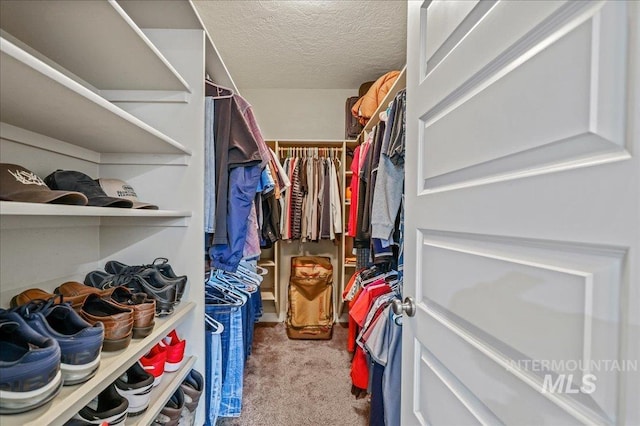 3524 Catalina Ave, Caldwell, ID 83605 - spacious closet featuring carpet