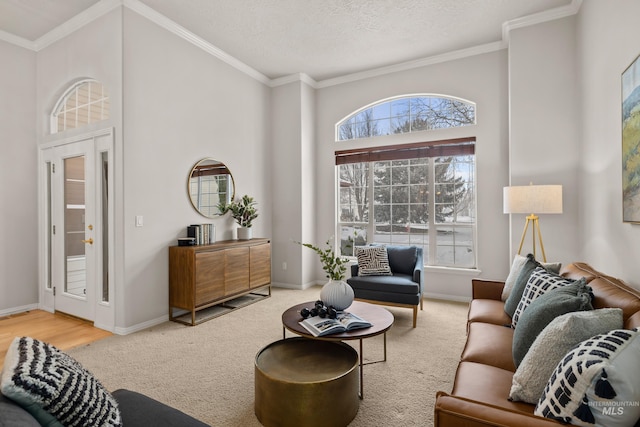 carpeted living room with crown molding, a towering ceiling, and a textured ceiling