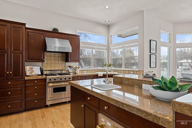 kitchen with wall chimney range hood, sink, light hardwood / wood-style flooring, luxury stove, and a healthy amount of sunlight