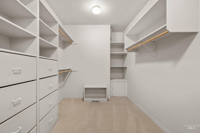 spacious closet featuring light colored carpet