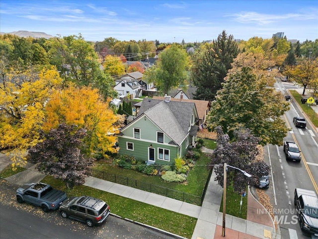 bird's eye view