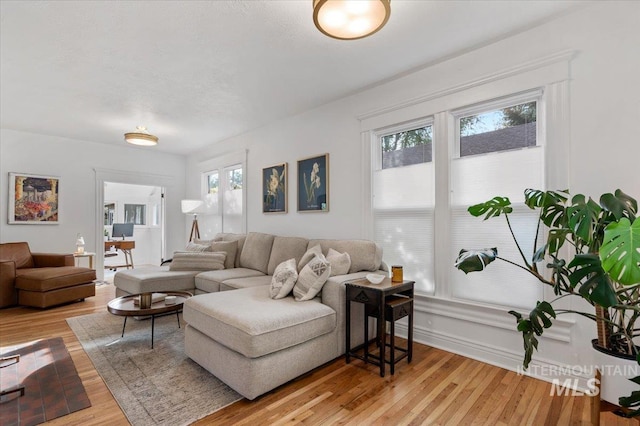 living room with light wood finished floors