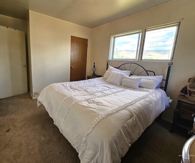 606 24th St, Lewiston, ID 83501 - carpeted bedroom featuring a closet