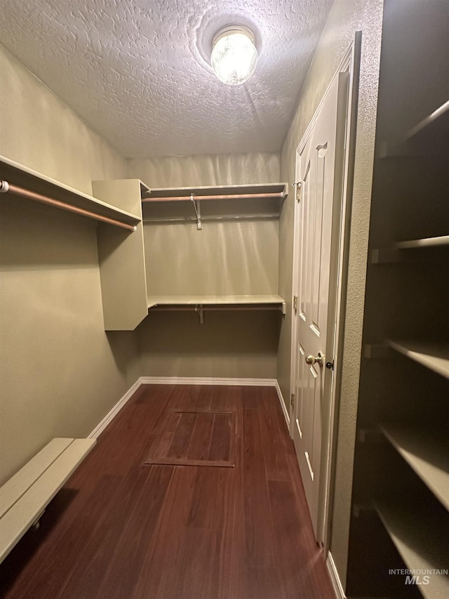 walk in closet with dark wood-type flooring