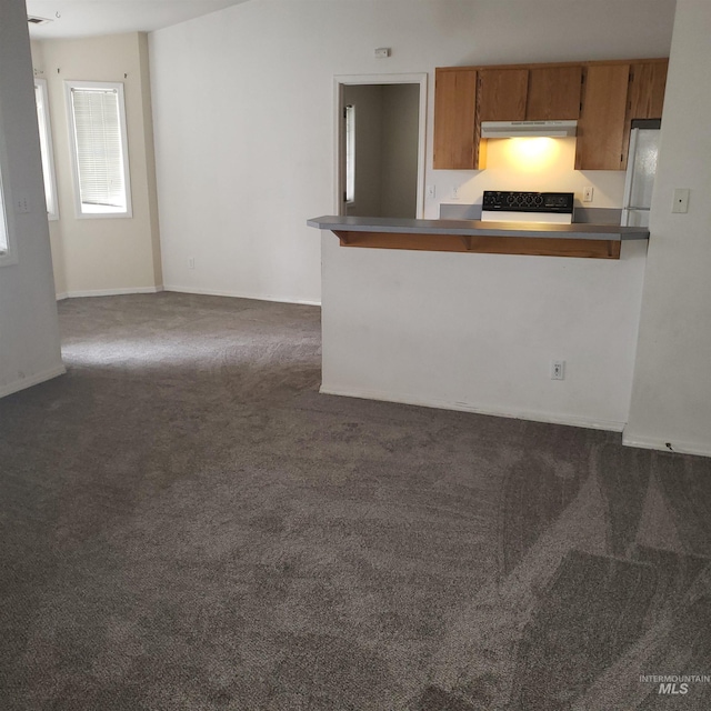 kitchen featuring under cabinet range hood, dark carpet, brown cabinets, freestanding refrigerator, and black range