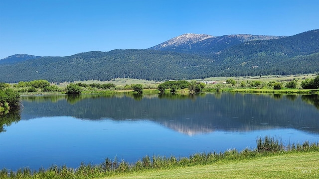 3947 Yampa Ct, New Meadows, ID 83654