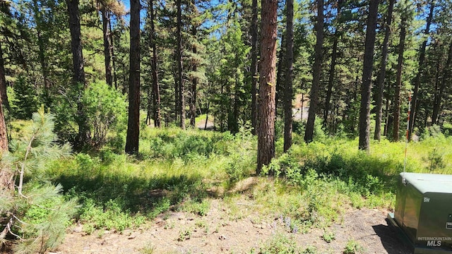 3947 Yampa Ct, New Meadows, ID 83654